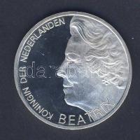 Hollandia 1995. 10G Ag "Hugo de Groot" T:PP