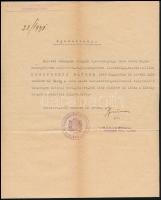 1931 Az S.M.S. Szent István hadihajón szolgált tüzérmester kérvénye Horthynak, hogy nehéz helyzetébe...