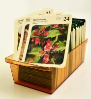 A Planétás kertje, érdekes magyar nyelvű kertészeti kártyagyűjtemény