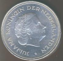 Hollandia 1970. 10G Ag "Wilhelmina Julianna" T:1/2 k