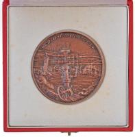 Pataky Béla (1932-) 1979. "Zsanai gázkitörés" kétoldalas Br érem, eredeti tokban (70mm) T:...