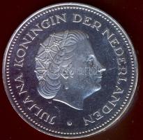 Hollandia 1970. 10G Ag "Wilhelmina Julianna" T:2+ k