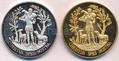 1991. "II. János Pál látogatása hazánkban" aranyozott és ezüstözött emlékérmek (2xklf) (42...
