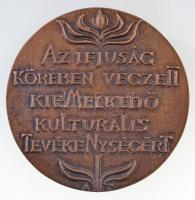 Asszonyi Tamás (1942-) ~1970-1980. "KISZ Budapesti Bizottsága / Az ifjúság körében végzett kiem...