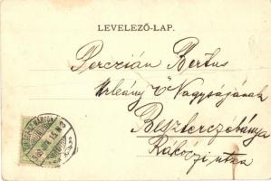 Ruttky, Vrutky; Vágvölgyi vasútvonal, hajtány a síneken / Povazie railway, handcar (fa)