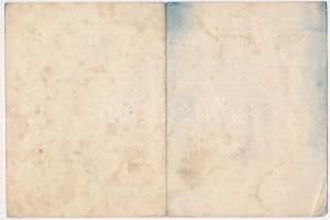 Budapest 1923. "Kékkuti Gyógy- és Ásványvíz Részvénytársaság" részvényutalvány 5000K-ról T...