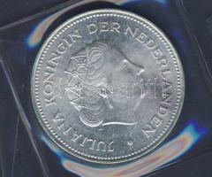 Hollandia 1970. 10G Ag "Wilhelmina Julianna" T:2 Vákumcsomagolásban.