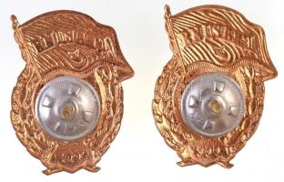 Szovjetunió ~1960-1970. "Szovjet Gárda jelvény" aranyozott, zománcozott fém jelvény csavar...