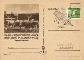 6 db MODERN szocialista levelezőlap, több lap alkalmi bélyegzéssel / 6 MODERN Hungarian socialist po...