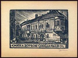 Sterbenz Károly szignós ex libris 10x12cm