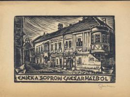 Sterbenz Károly szignós ex libris 10x12cm