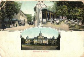 Weimar Schloss Belvedere / castle, restaurant (fa)