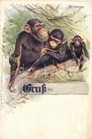 Gruss aus des Deutschen Kolonialhaueses Muster Series / German colonial animal art postcards series ...