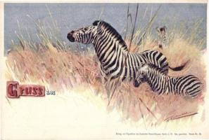 Gruss aus des Deutschen Kolonialhaueses Muster Series / German colonial animal art postcards series ...