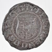 1555N-C Denár Ag "I. Ferdinánd" (0,53g) T:2 kis anyagfelesleg
Hungary 1554N-C Denar Ag &q...