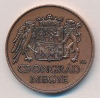 Fritz Mihály (1947-) 2000. "Magyar Millenium" / Csongrád megye" Br emlékérem (42,5mm)...
