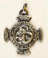 Ezüst(Ag) sárkányos medál, jelzett, 4x2 cm, nettó: 8,7 g