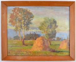 Olvashatatlan jelzéssel: Szénaboglyák. Olaj, farost. Keretben 28x36 cm