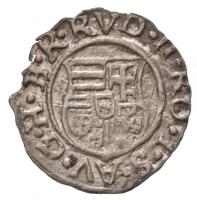 1582K-B Denár Ag "Rudolf" (0,34g) T:2
1582K-B Denar Ag "Rudolf" (0,34g) C:XF
H...