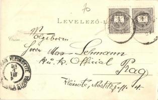 1899 Nagyszeben, Hermannstadt, Sibiu; Michelsberg, Salzburg, Naturwissenschaftliches Museum, Grosser...