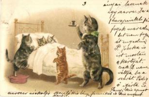 Cats in the bed, litho