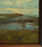 Magyar Mannheimer Gusztáv (1859-1937): Tájkép patakkal, olaj, fa, jelzett, keretben, 30,5×39 cm