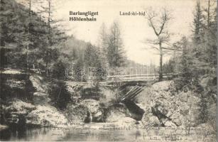 Tátra, Barlangliget, Höhenhain; Landoki híd. Britz Berta felvétele / bridge (lyukak / pinholes)