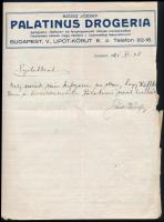 1921 Szüsz József Palatinus Drogéria díszes fejléces levél, 28x21 cm