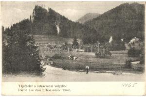 Sztracenai-völgy, Stracenovska dolina, Stratena; valley (EK)