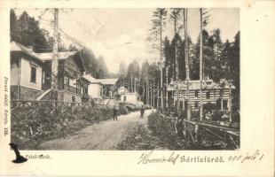 Bártfafürdő, Bardejovské Kúpele, Bardiov; Felső körút. Divald Adolf / street view with villas
