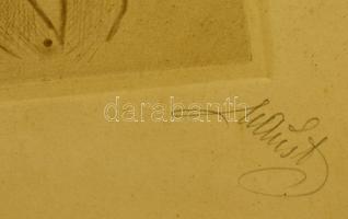 Olvashatatlan jelzéssel: Franz Schubert portréja, rézkarc, papír, üvegezett fa keretben, 16×11 cm