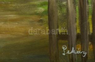 Pekáry jelzéssel: Parasztház, olaj, farost, 50×60 cm