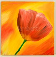 Tavaszi jelzéssel: Tulipán, olaj, vászon, 50×50 cm