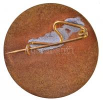 ~1970-1980."Kiváló Egészségügyi Nevelő Munkáért" aranyozott, zománcozott fém jelvény (21mm...