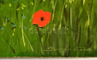 Sugár jelzéssel: Lány pipacsok között. Olaj, farost. Jelzett. 49x50 cm