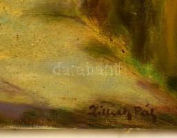 Zillich Pál (?-?): Városrészlet. Olaj, vászon. Jelzett. 60x50 cm