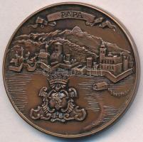 Lantos Györgyi (1953-) 1990. "MÉE Pápa / Éremgyűjtők 20. Vándorgyűlése" Br emlékérem (42,5...