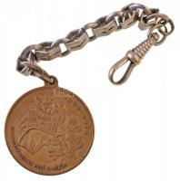 1898. "Szabadságharczunk dicső emlékére / Istenért, királyért, hazáért" Cu emlékérem fülle...