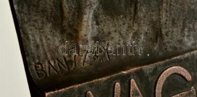 Bánszky Sándor (1888-1918) : Wagner plakett, spiáter, öntvény, jelzett a plaketten, 23x15 cm