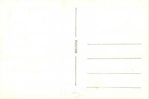 1944 Második világháborús szabadtéri ünnepség, sérült katonákkal és nővérekkel / WWII Hungarian mili...