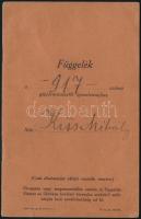 1929 Gépjárművezetői igazolvány függeléke, bejegyzésekkel