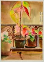 Endrédy György (1910-1988): Virágok az erkélyen. Akvarell, papír, jelzett, 51x36,5 cm
