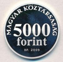 2009. 5000Ft Ag "Radnóti Miklós" tanúsítvánnyal (2xklf) T:PP,BU
Adamo EM220
