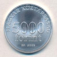 2009. 5000Ft Ag "Radnóti Miklós" tanúsítvánnyal (2xklf) T:PP,BU
Adamo EM220