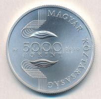 2010. 5000Ft Ag "Úszó Európa-Bajnokság" tanúsítvánnyal (2xklf) T:PP,BU fo.
Adamo EM229