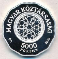 2009. 5000Ft Ag "Dohány utcai zsinagóga" tanúsítvánnyal (2xklf) T:PP,BU kis fo.
Adamo EM2...