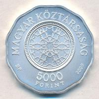 2009. 5000Ft Ag "Dohány utcai zsinagóga" tanúsítvánnyal (2xklf) T:PP,BU kis fo.
Adamo EM2...