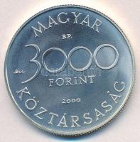 2000. 3000Ft Ag "Veszélyeztetett állatvilág - hód" dísztokban T:BU
Adamo EM165