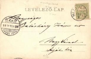 1903 Mezőpeterd, úri lak, hölgy kutyával. photo