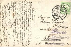 1911 Kapjon, Coplean (Dés, Dej); Haller kastély, ma már csak rom / castle. photo (EK)